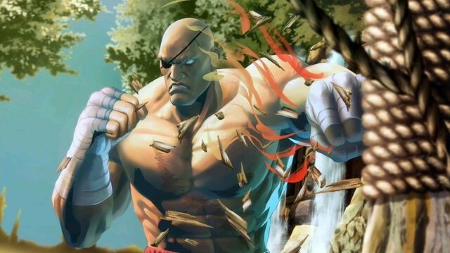 File:Street-Fighter-X-Tekken-Sagat-Official-Artwork.jpg