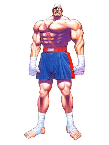 File:SagatSuperSFII.jpg