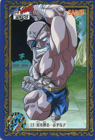 File:Carddass SFZ1-015.png