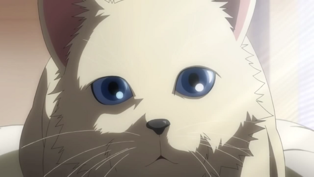 File:SSFIVCat.png