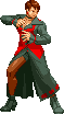 File:Vice kof.png