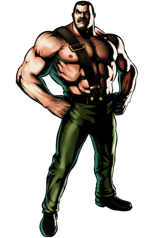 File:Haggarumvc3.png
