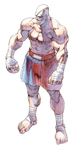 Archivo:SagatSF-CapcomClassicsCollection.jpg