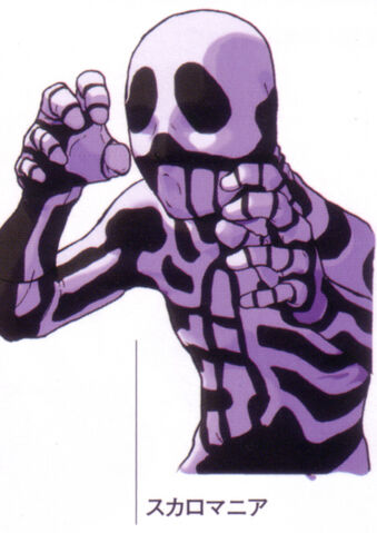 File:Skulloportrait.jpg