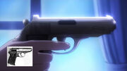 PPK