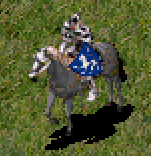 Ritter Stronghold 1.png