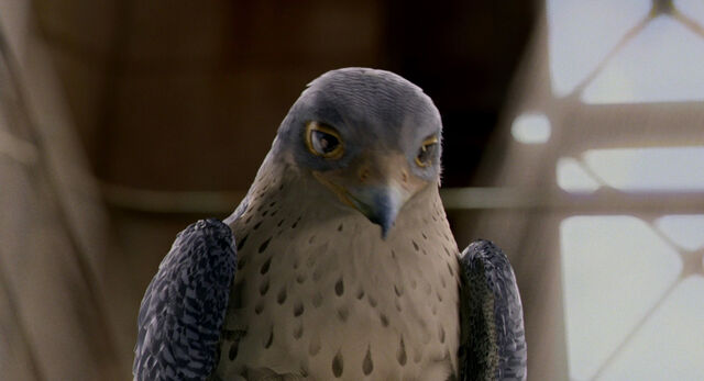 File:Stuart-little2-disneyscreencaps com-5778.jpg