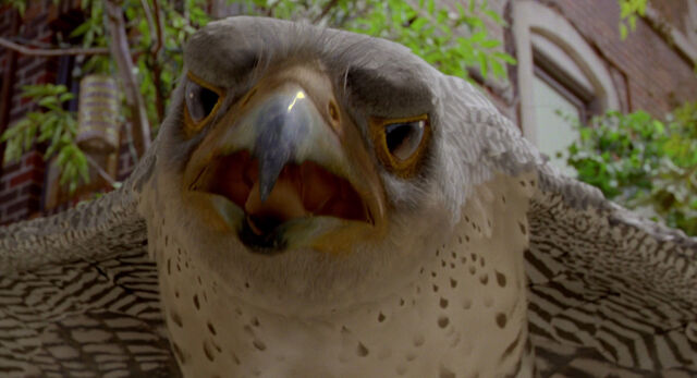File:Stuart-little2-disneyscreencaps com-3318.jpg
