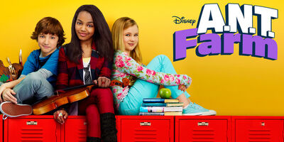 Ant farm