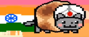 Updated Naan Bread