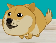 Animated Doge