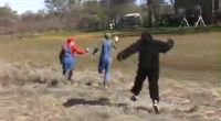Stupid Mario Brothers Donkey Kong Chasing Mario and Luigi