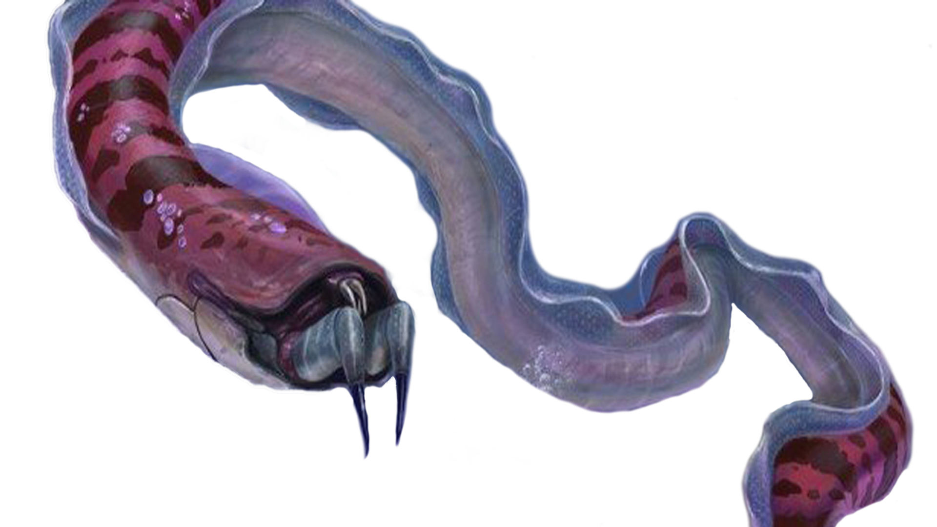 Image - Crab Snake Fauna.png Subnautica Wiki FANDOM powered by Wikia.