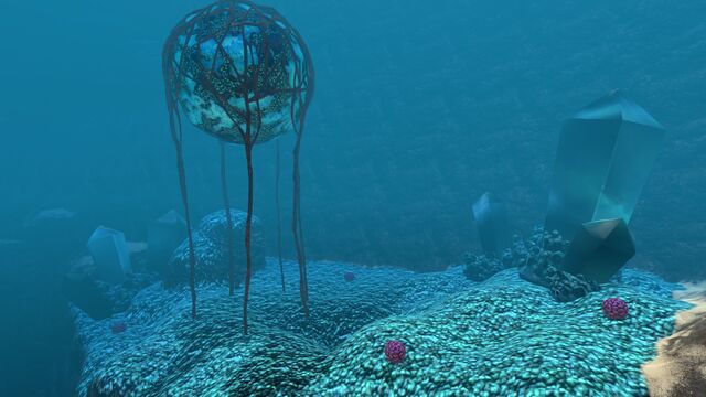File:Grand Reef (22).jpg