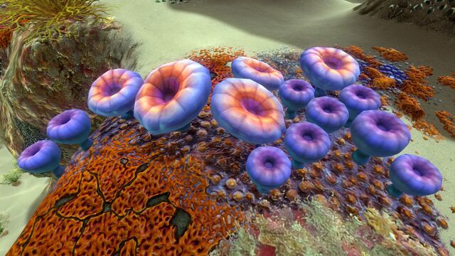 File:AcidMushroom.jpg