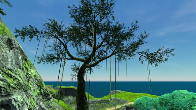 File:Floater Island (19).jpg