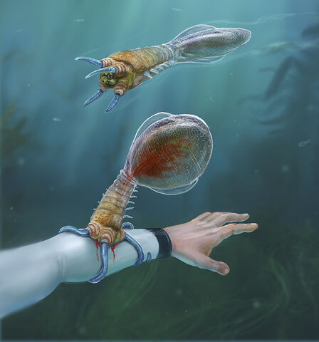 File:Creatures Bleeder LowRes.jpg
