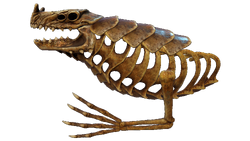 Sea Dragon Leviathan Skeleton
