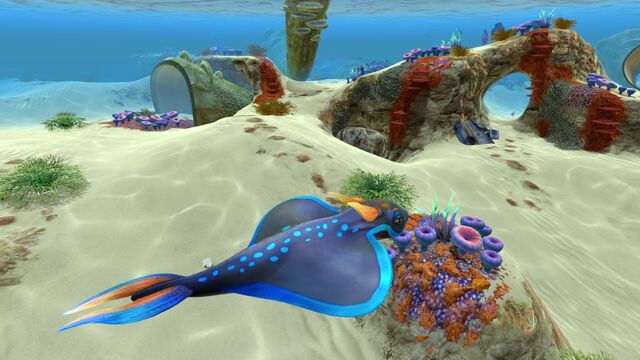 File:Safe Shallows (15).jpg