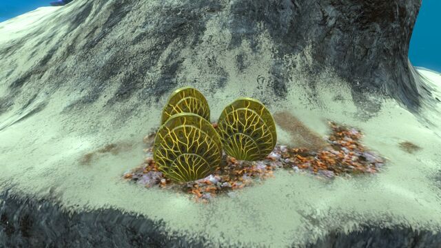 File:CoralShellPlate02.jpg