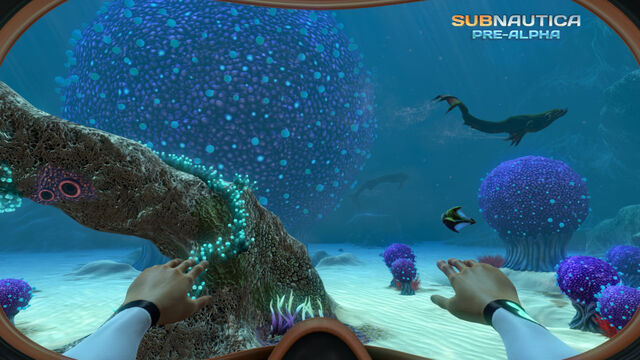 File:KooshBushZone 02-1024x640.jpg