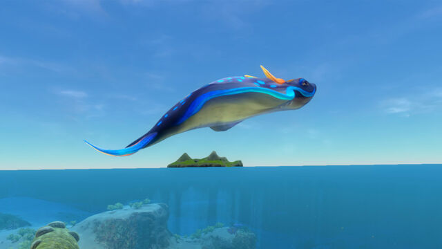 File:Rabbitray1.jpg