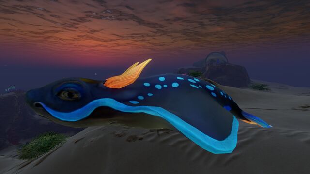 File:Rabbitray (4).jpg