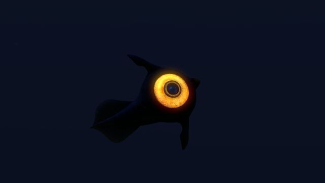 File:Peeper (15).jpg