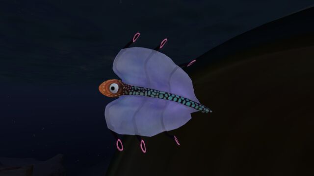 File:Airsack at night.jpg