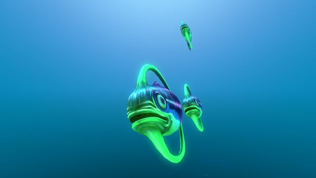File:Hoopfish Cluster.jpg