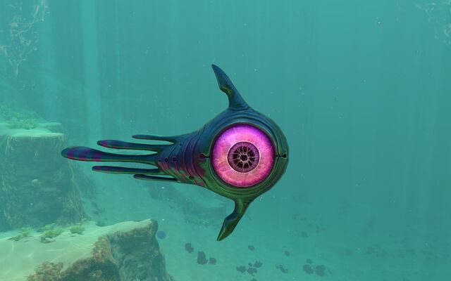 File:Life-form oculus.jpg