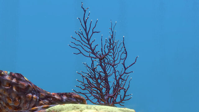 File:2015-05-05 00190.jpg