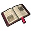 Icon64x64QuestLog.png