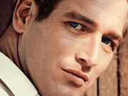 Paul newman 320