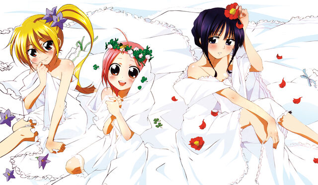 File:Sanae, Momoko and Iroha.jpg