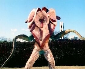 MMPR Bloom of Doom