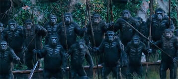 Dawnoftheplanetoftheapes