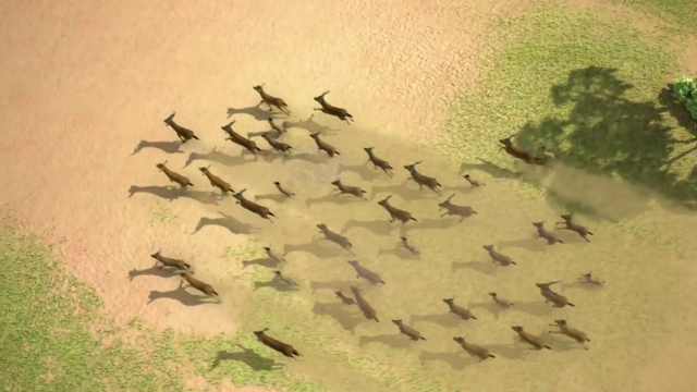 File:Wildebeest11.png