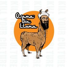 Osama-llama