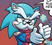 Chuck hedgehog