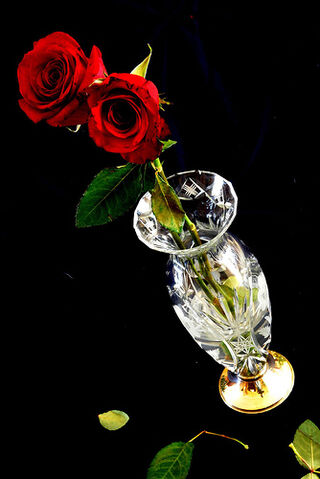 File:Rosas.jpg
