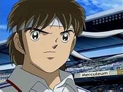 Armand Callahan.jpg