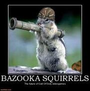 Squirrel
