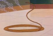 Lasso of Truth