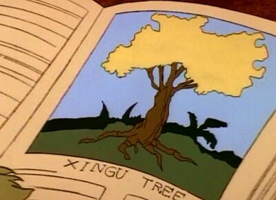 Xingu Tree