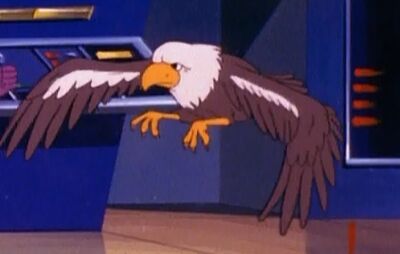 Falcon