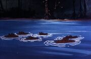 Hippopotamus