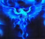 Blue-phoenix-atrobuet-phoenix-23527375-1023-887