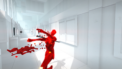 Impaled by the katana