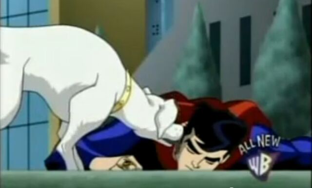 File:LSH Krypto.jpg